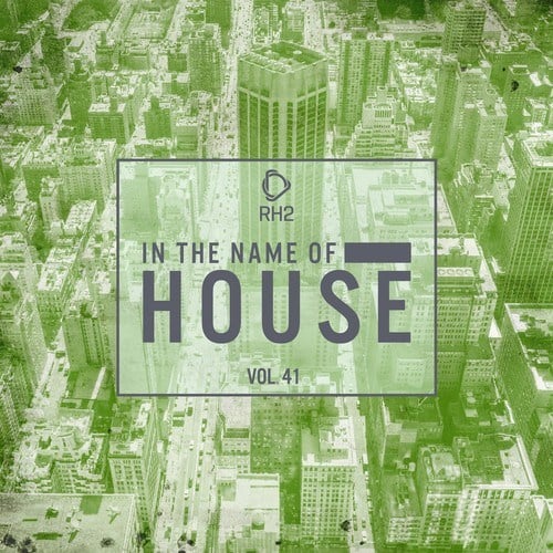 Various Artists-In the Name of House, Vol. 41