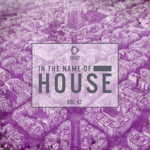 Various Artists-In the Name of House, Vol. 42