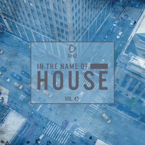 Various Artists-In the Name of House, Vol. 45