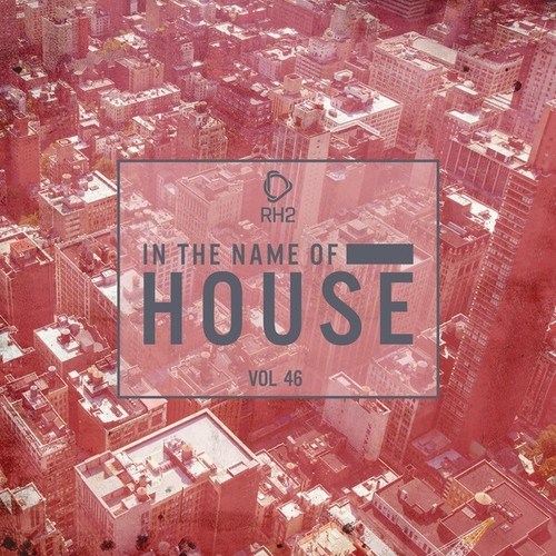 Various Artists-In the Name of House, Vol. 46
