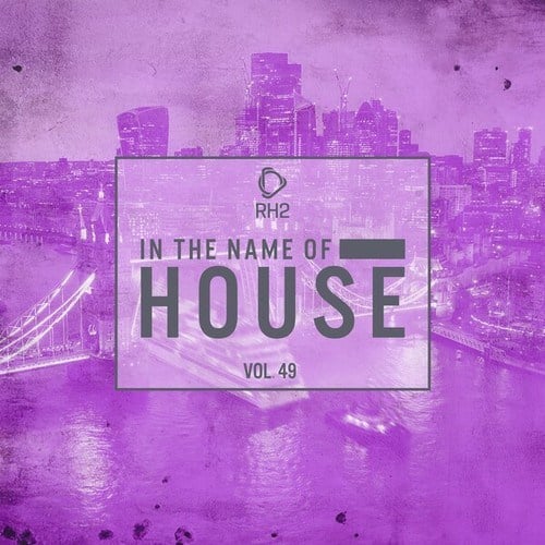 Various Artists-In the Name of House, Vol. 49