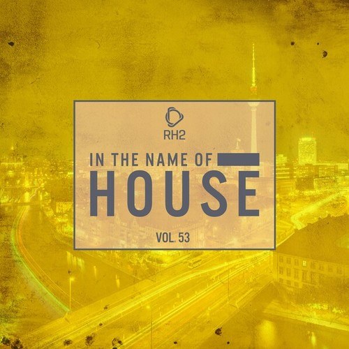 Various Artists-In the Name of House, Vol. 53