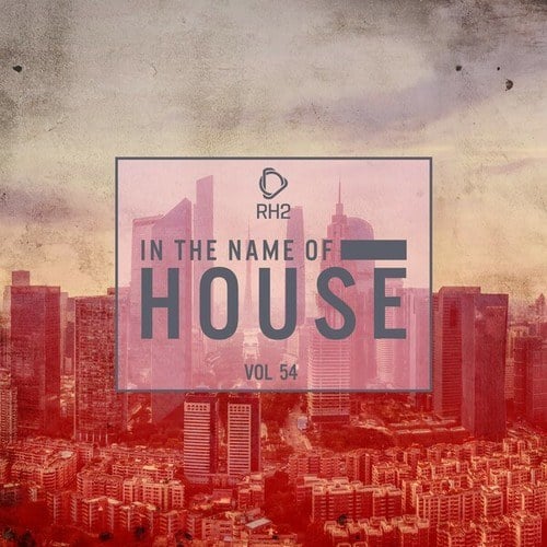 Various Artists-In the Name of House, Vol. 54