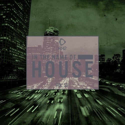 Various Artists-In the Name of House, Vol. 55