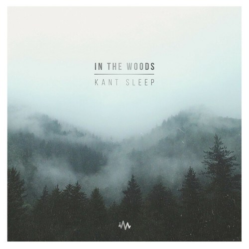 Kant Sleep-In The Woods