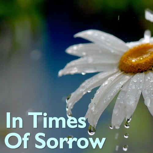 In Times Of Sorrow