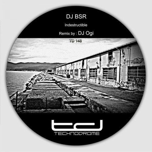 DJ BSR, DJ Ogi-Indestructible