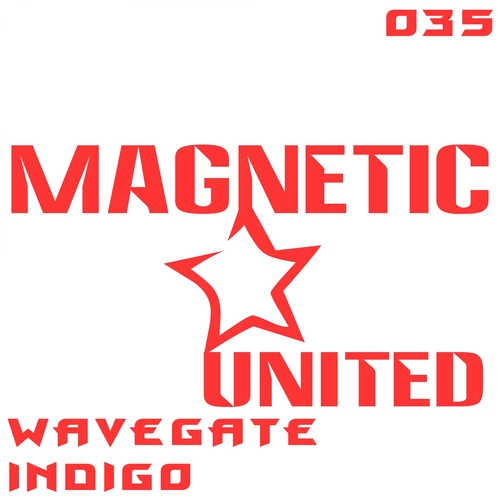 Wavegate-Indigo