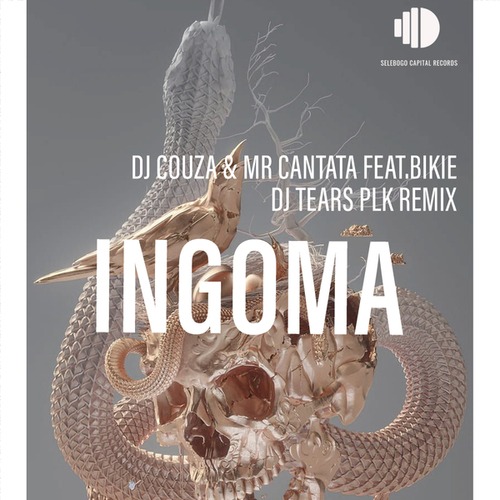 DJ Couza, Mr.Cantata, Bikie, DJ Tears PLK-Ingoma