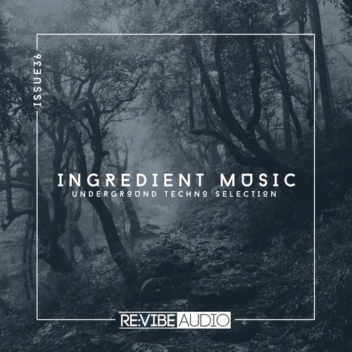 Various Artists-Ingredient Music, Vol. 36