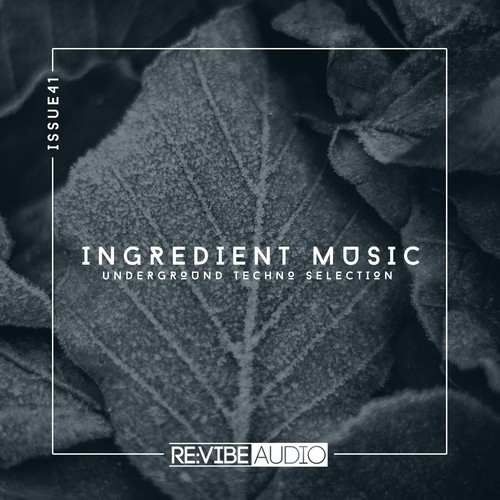 Various Artists-Ingredient Music, Vol. 41
