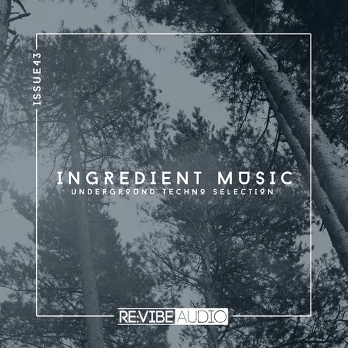 Various Artists-Ingredient Music, Vol. 43