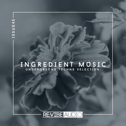 Various Artists-Ingredient Music, Vol. 45