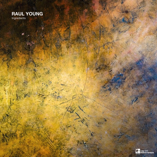 Raul Young-Ingredients EP