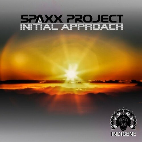 Spaxx Project-Initial Approach