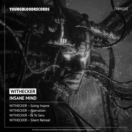 Withecker-Insane Mind ([Ybr028])