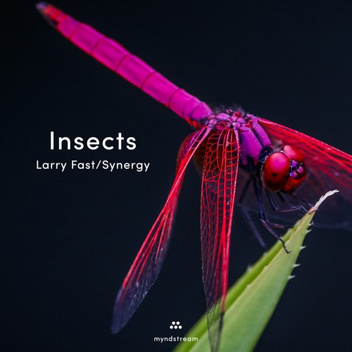 Insects