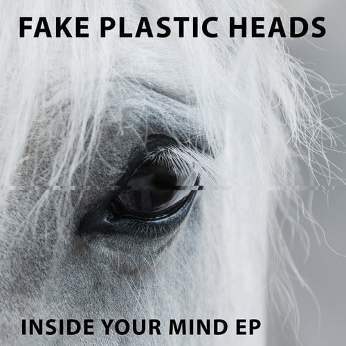 Fake Plastic Heads, Daisy Skull-Inside Your Mind EP