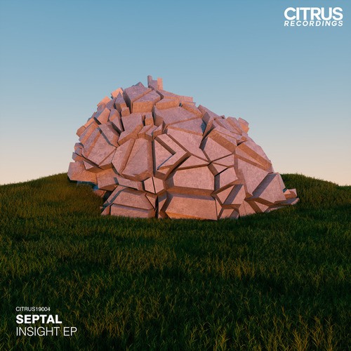 Septal-Insight EP
