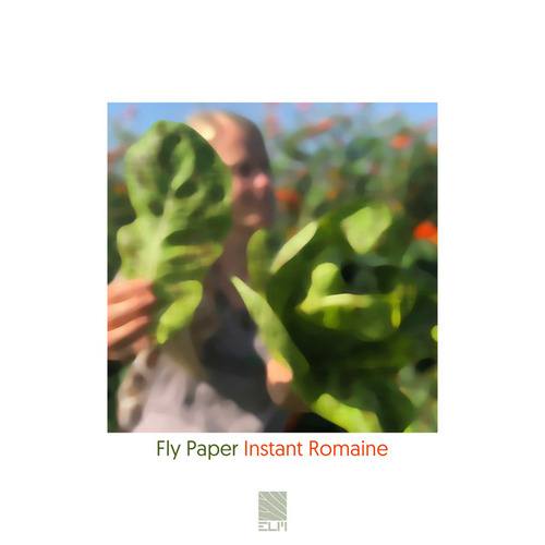 Fly Paper-Instant Romaine