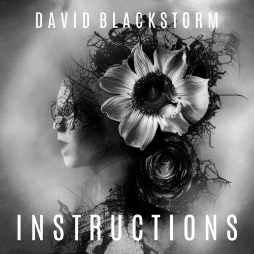 David Blackstorm-Instructions (Original Mix)