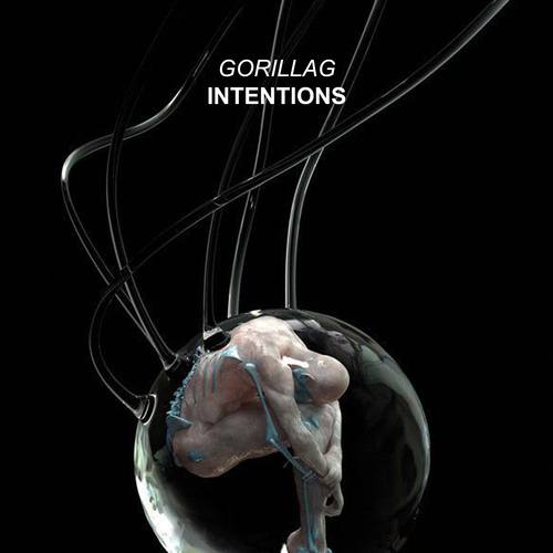 Gorillag-Intentions