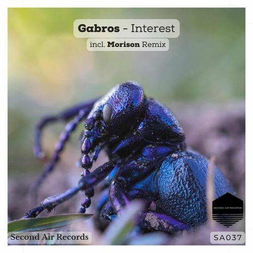 Gabros, Morison-Interest
