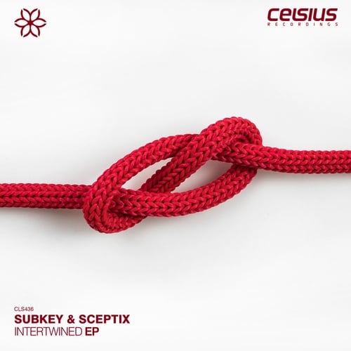 Subkey, Sceptix-Intertwined EP