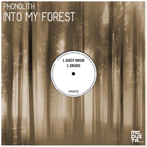 PHonolith (FR)-Into My Forest