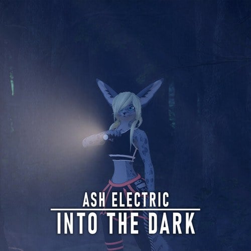 Ash Electric-Into The Dark