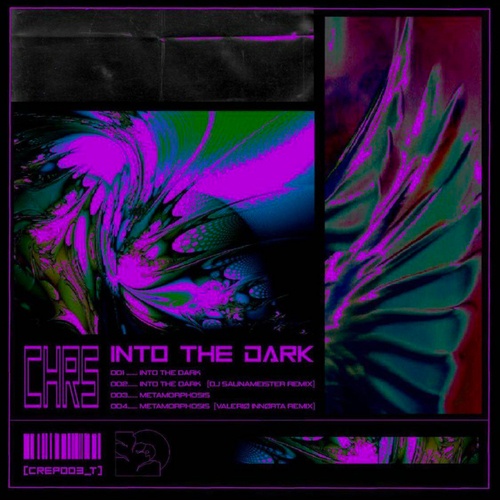 CHRS, DJ Saunameister, Valerio Innorta-Into The Dark