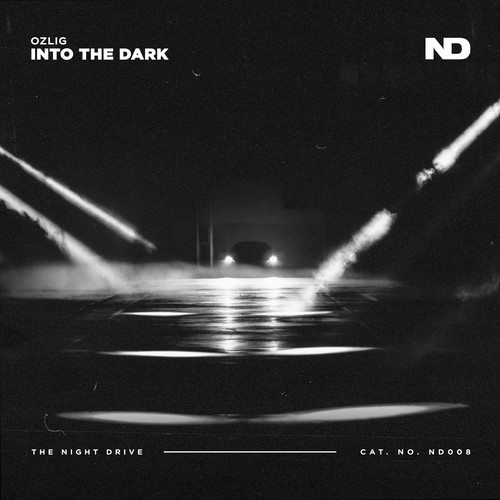 Ozlig-Into the Dark