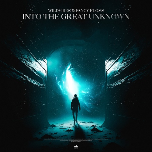 WildVibes, Fancy Floss-Into the Great Unknown