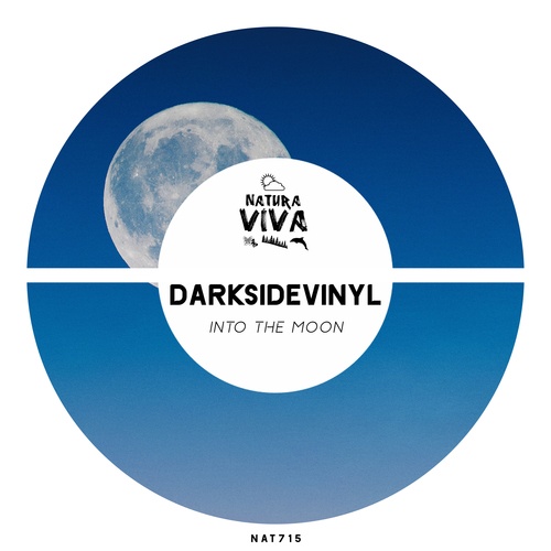 Darksidevinyl-Into the Moon
