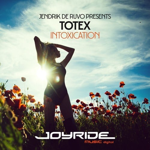 Totex, DJ Analyzer, Blitzfaktor-Intoxication