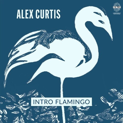 Alex Curtis-Intro Flamingo