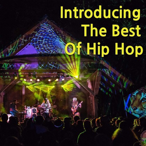 Various Artists-Introducing The Best Of Hip Hop