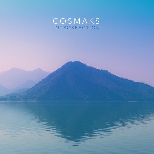 Cosmaks-Introspection