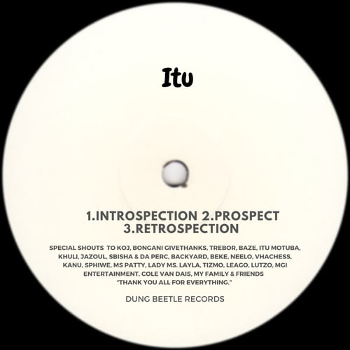 ITU-Introspection