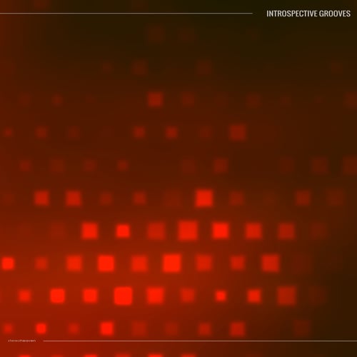 Various Artists-Introspective Grooves