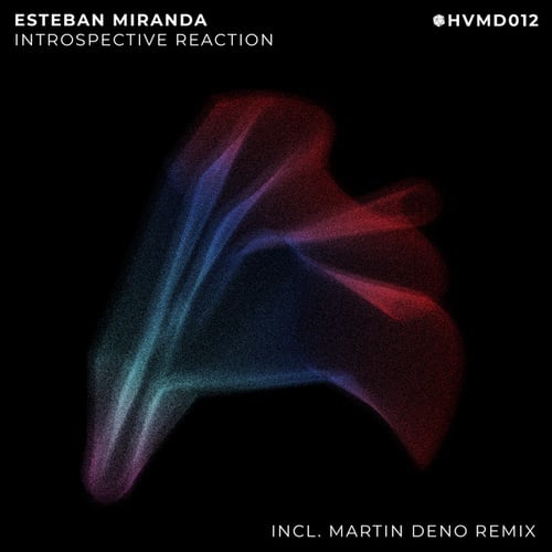 Esteban Miranda, Martin Deno-Introspective Reaction