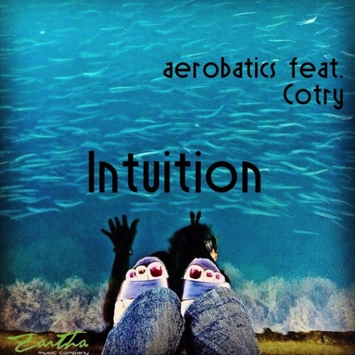 Aerobatics, Cotry-Intuition