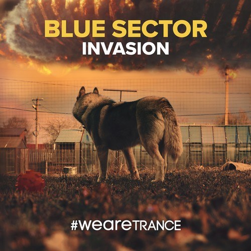 Blue Sector-Invasion