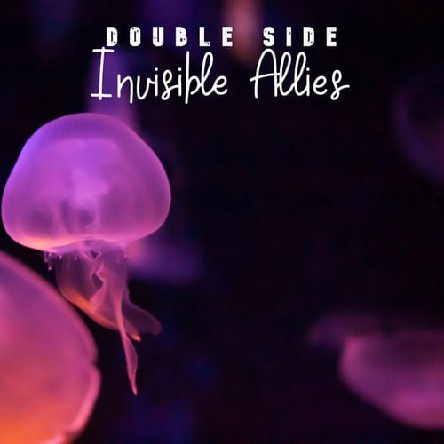Double Side-Invisible Allies