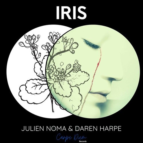 Daren Harpe, Julien Noma-Iris