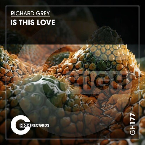 Richard Grey-Is This Love