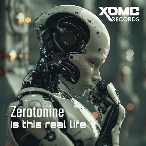 Zerotonine-Is this real life