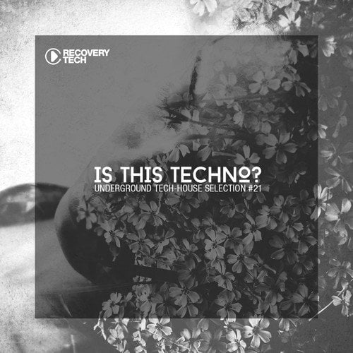 Is This Techno?, Vol. 21