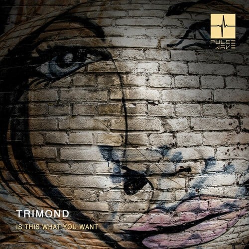 Trimond-Is This What You Want