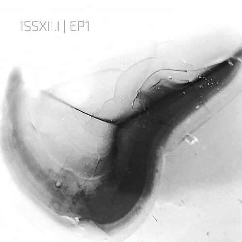 Various Artists-ISSXII.I | EP1